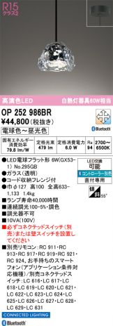 OP252986BR