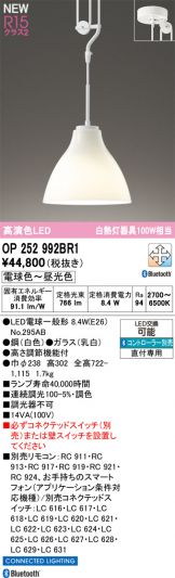 OP252992BR1