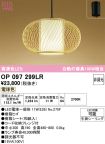 OP097299LR