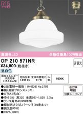 OP210571NR