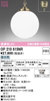 OP210615NR