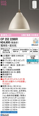 OP252229BR