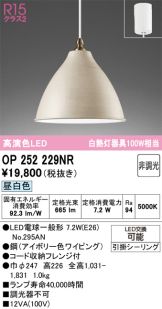 OP252229NR