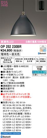 OP252230BR