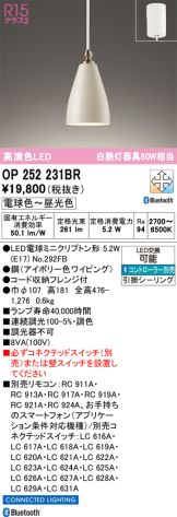 OP252231BR