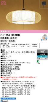 OP252387BR