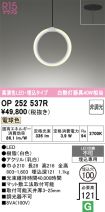 OP252537R