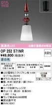 OP252571NR