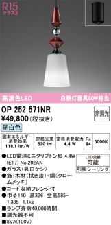 OP252571NR