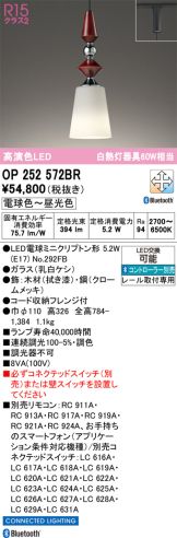 OP252572BR