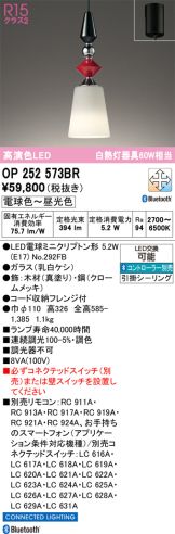 OP252573BR