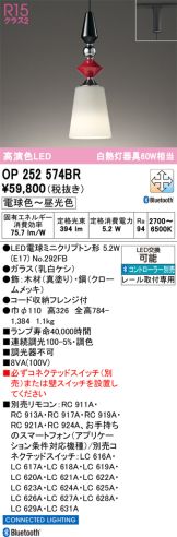 OP252574BR