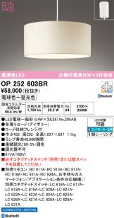 OP252603BR