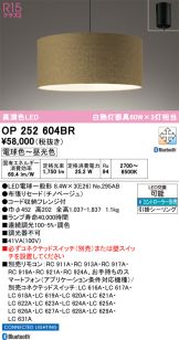 OP252604BR
