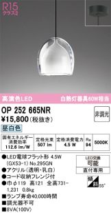 OP252665NR