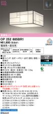 OP252685BR1