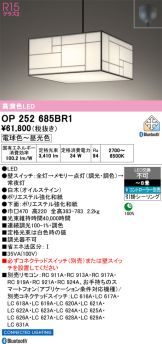 OP252685BR1