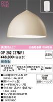 OP252727NR1