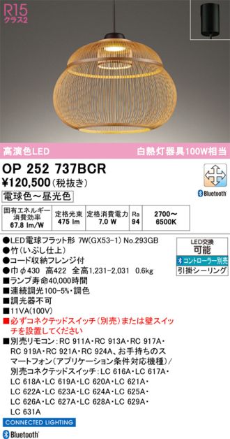 OP252737BCR