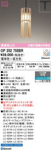 OP252755BR