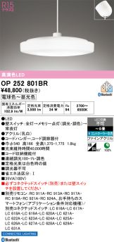 OP252801BR