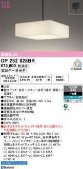 OP252828BR