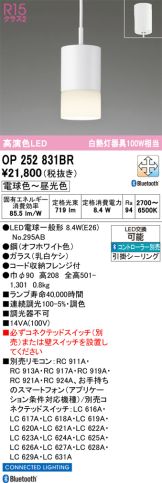 OP252831BR