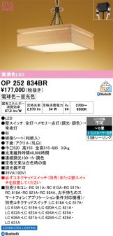 OP252834BR
