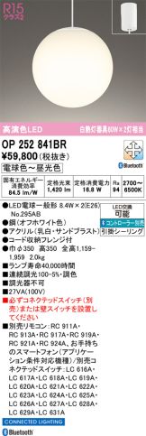 OP252841BR