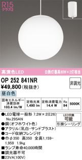 OP252841NR