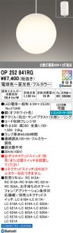 OP252841RG