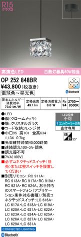 OP252848BR