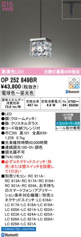 OP252849BR