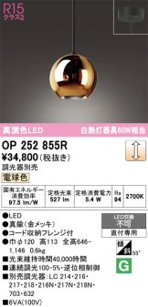 OP252855R