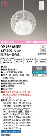 OP252860BR
