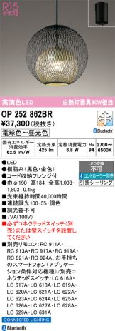 OP252862BR