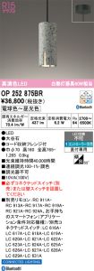 OP252875BR