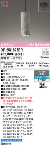 OP252875BR