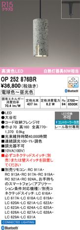 OP252876BR