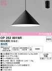 OP252891NR