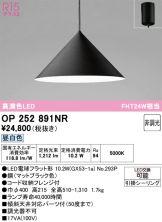 OP252891NR