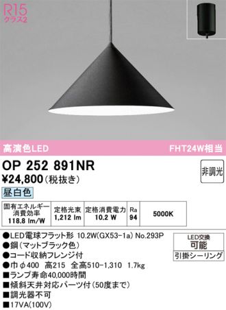 OP252891NR