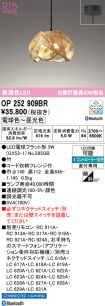 OP252909BR
