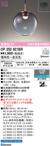 OP252921BR