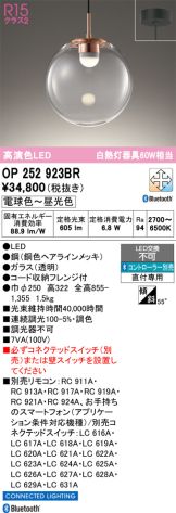OP252923BR
