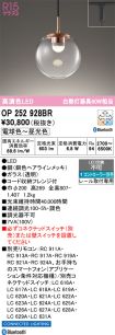 OP252928BR