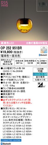 OP252951BR