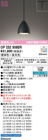 OP252956BR