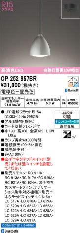 OP252957BR