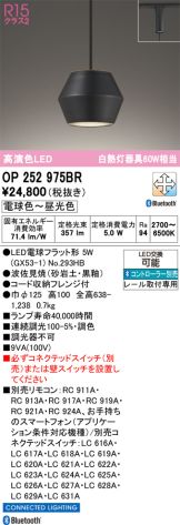 OP252975BR